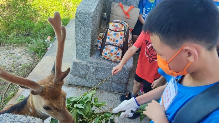 請另存圖片檢視原尺寸圖檔