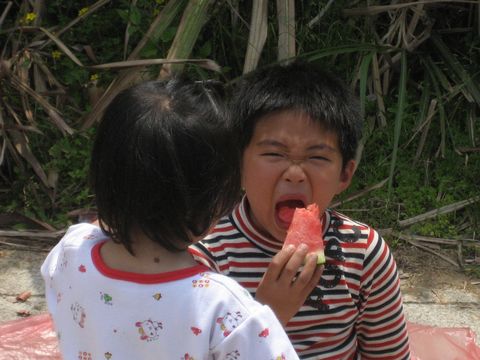 請另存圖片檢視原尺寸圖檔