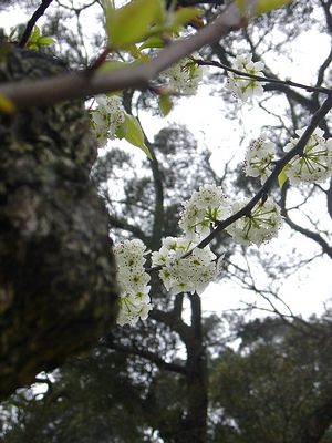 請另存圖片檢視原尺寸圖檔