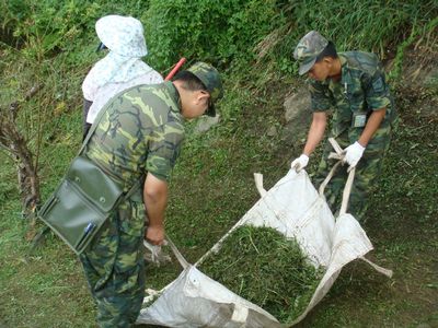 請另存圖片檢視原尺寸圖檔