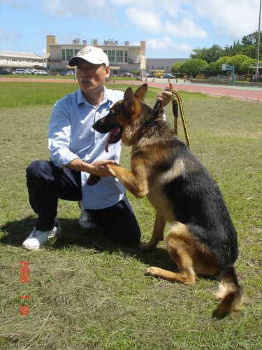 請另存圖片檢視原尺寸圖檔