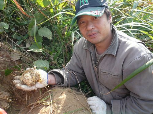 請另存圖片檢視原尺寸圖檔