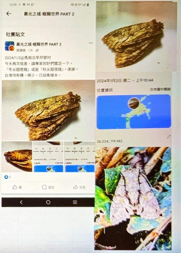 請另存圖片檢視原尺寸圖檔