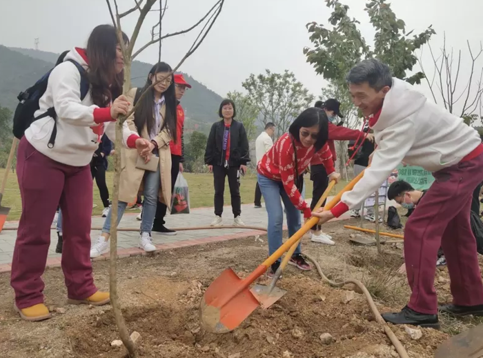 請另存圖片檢視原尺寸圖檔