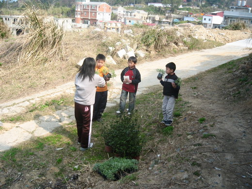 請另存圖片檢視原尺寸圖檔