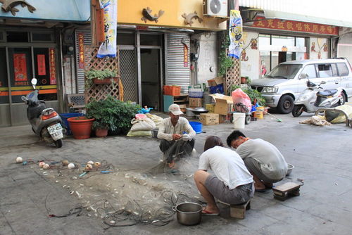 請另存圖片檢視原尺寸圖檔