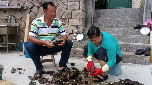 請另存圖片檢視原尺寸圖檔