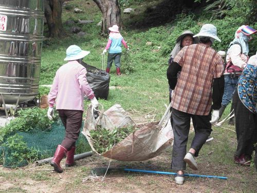 請另存圖片檢視原尺寸圖檔