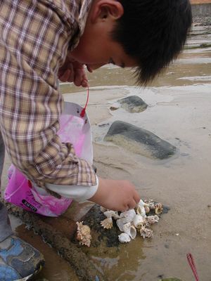 請另存圖片檢視原尺寸圖檔