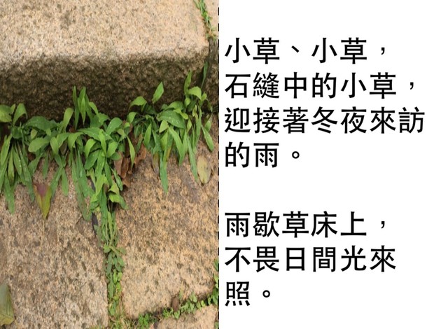 請另存圖片檢視原尺寸圖檔