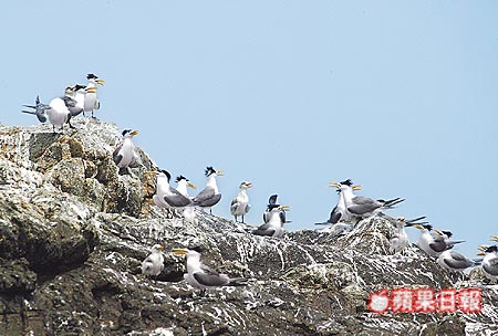 請另存圖片檢視原尺寸圖檔