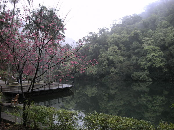 請另存圖片檢視原尺寸圖檔