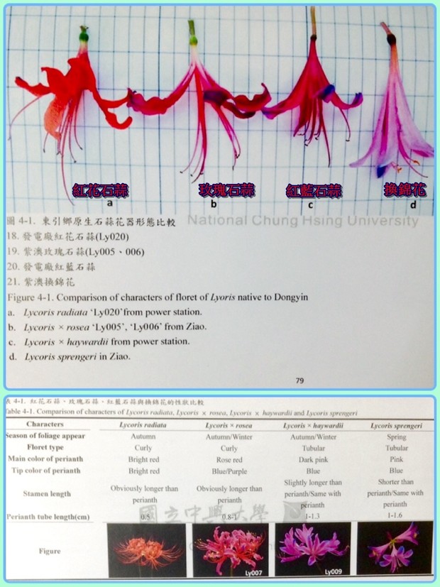 請另存圖片檢視原尺寸圖檔