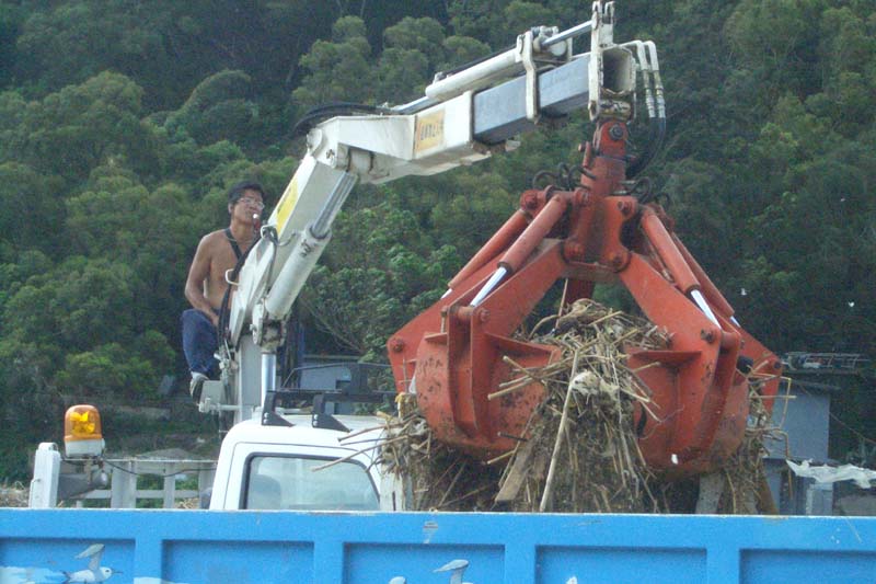 請另存圖片檢視原尺寸圖檔