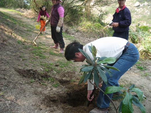 請另存圖片檢視原尺寸圖檔