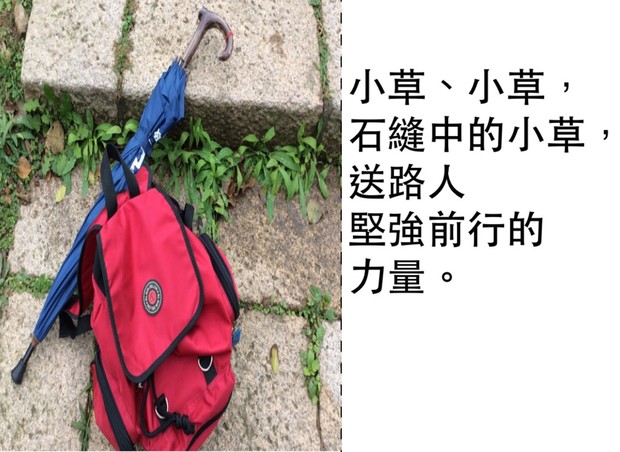 請另存圖片檢視原尺寸圖檔