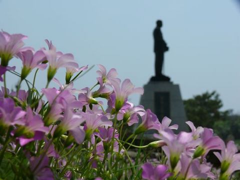 請另存圖片檢視原尺寸圖檔