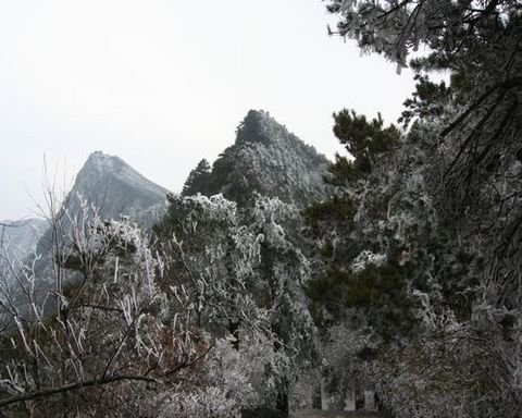 請另存圖片檢視原尺寸圖檔