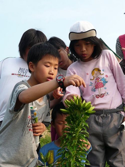 請另存圖片檢視原尺寸圖檔