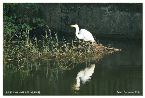 請另存圖片檢視原尺寸圖檔