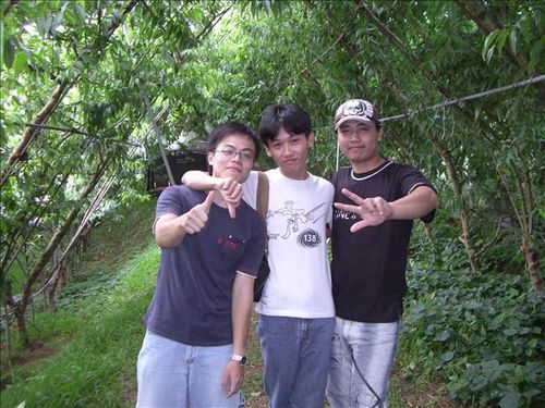 請另存圖片檢視原尺寸圖檔