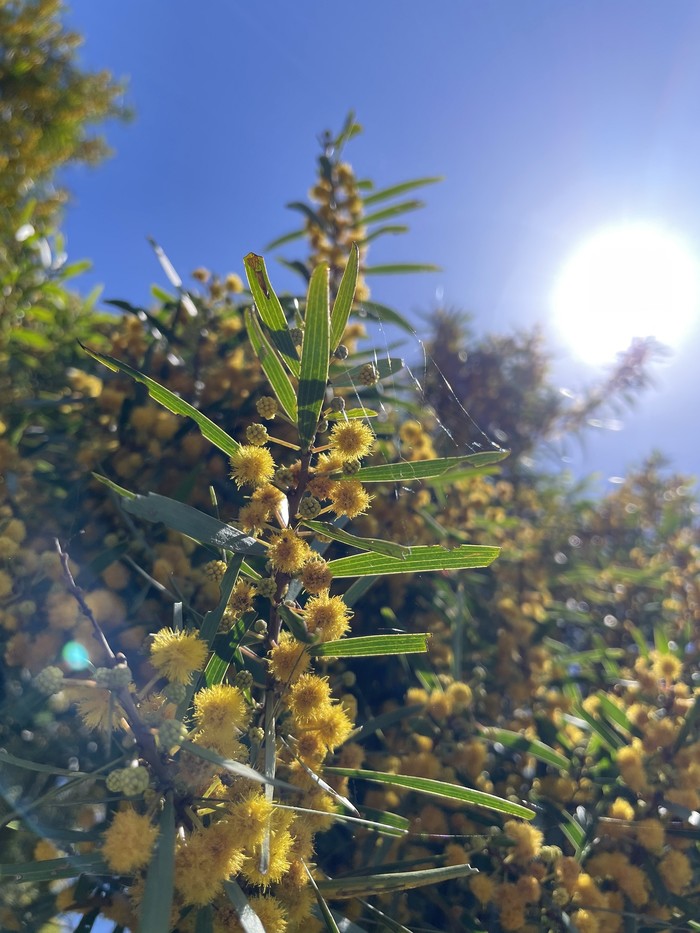 請另存圖片檢視原尺寸圖檔