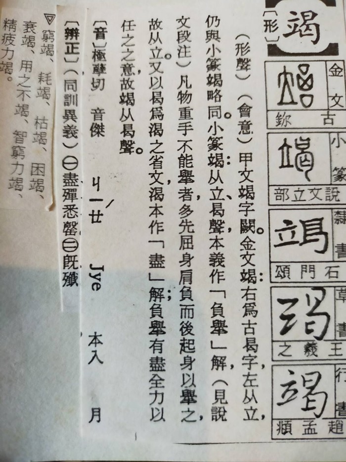 請另存圖片檢視原尺寸圖檔