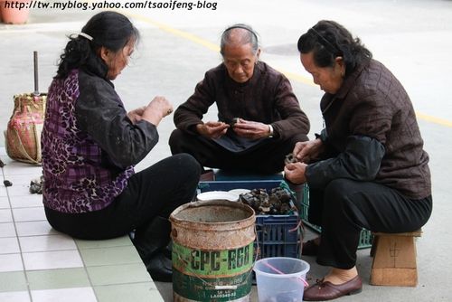 請另存圖片檢視原尺寸圖檔