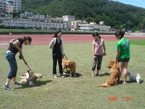 請另存圖片檢視原尺寸圖檔