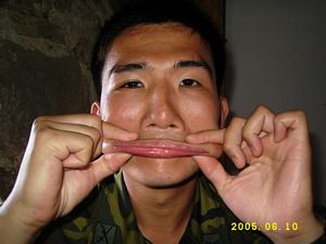 請另存圖片檢視原尺寸圖檔