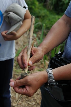 請另存圖片檢視原尺寸圖檔