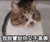 說什麼大實話